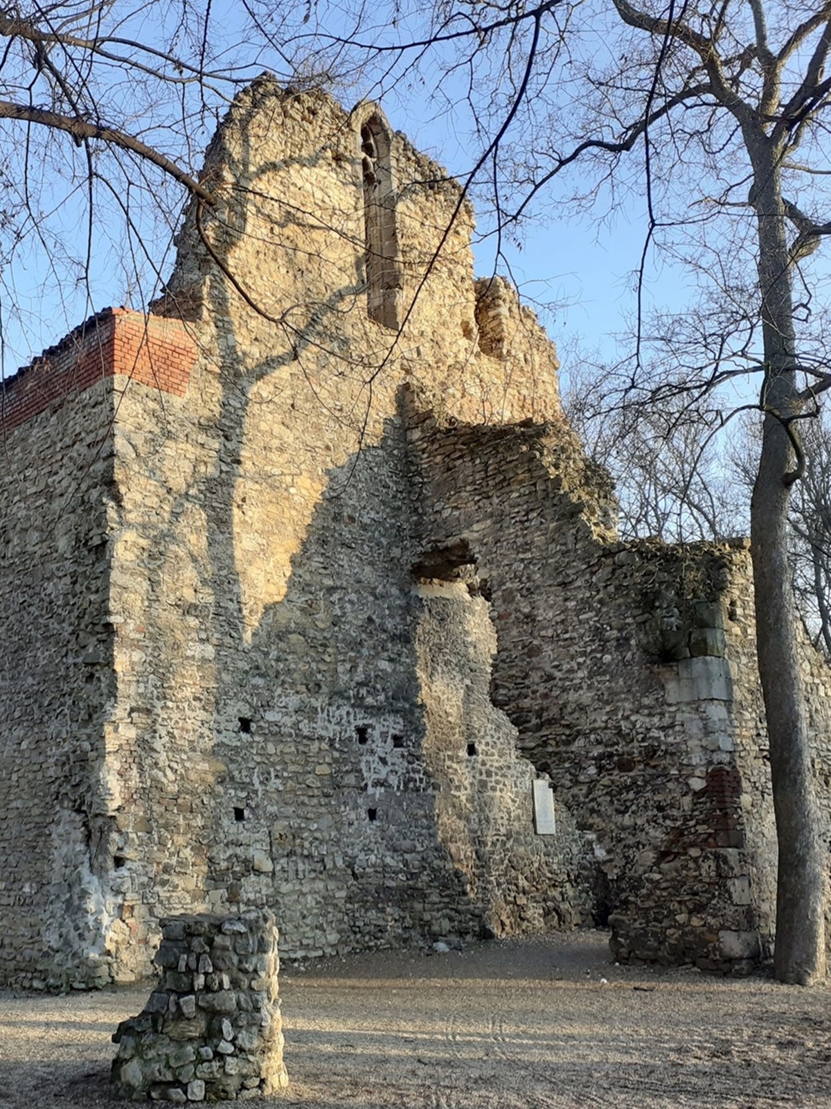 A Margit-sziget középkori építészeti emlékei